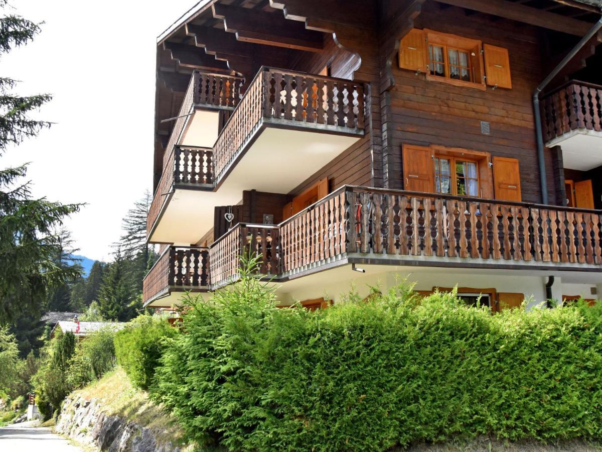 Apartment Colline 8 By Interhome Champex-Lac Exteriér fotografie