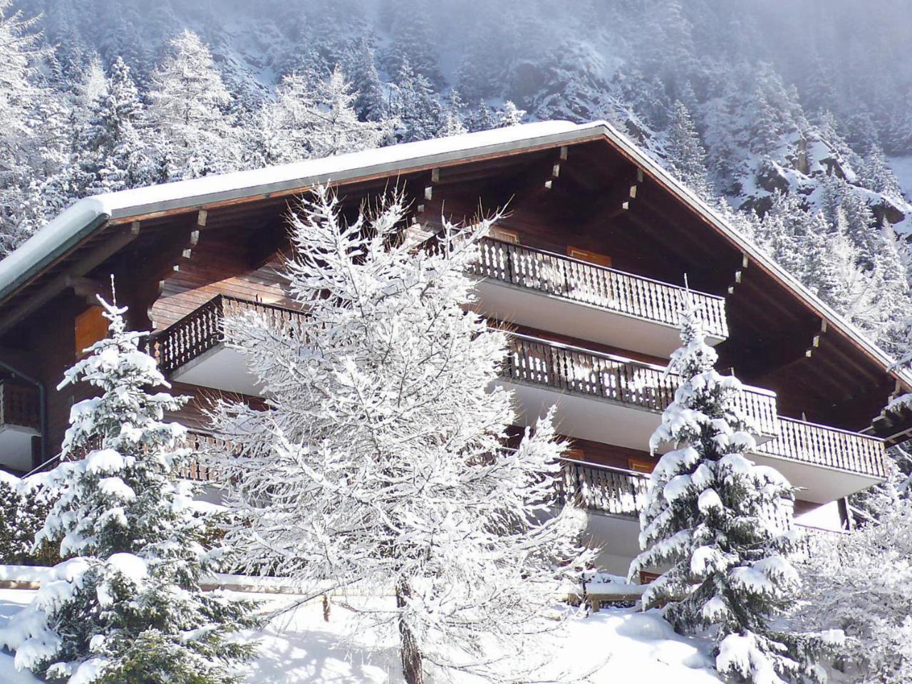 Apartment Colline 8 By Interhome Champex-Lac Exteriér fotografie